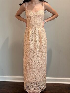 Sabina Musayev Blush Crochet Lace Maxi Dress